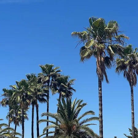 Blue Paradise *