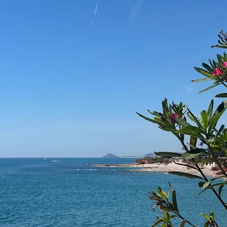 Blue Paradise